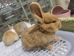 -三旗百汇商品城