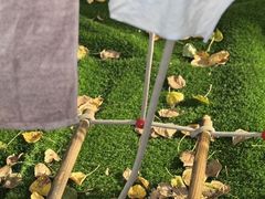 -大东尚品实验幼儿园