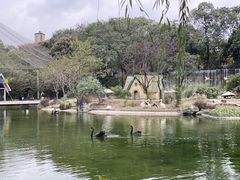 -成都动物园