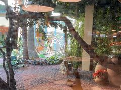 -麒麟中餐厅·经典粤菜·地道菜式老字号(广州长隆酒店)