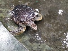 -嘉兴海底世界