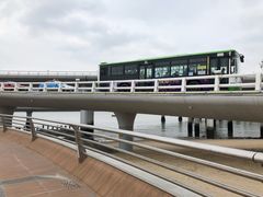 -演武大桥观景平台