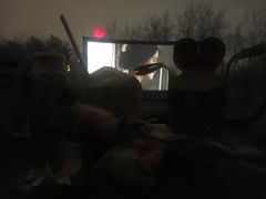 -枫花园汽车电影院(朝阳公园店)
