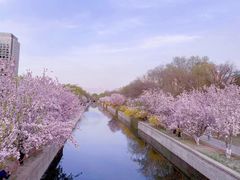 -元大都城垣遗址公园