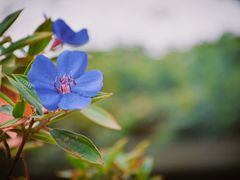 -晓港公园