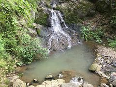 -桑洲油菜花景区