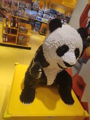 -kidsland(上海环球港店)