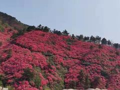 -木兰云雾山