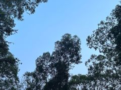 -火炉山森林公园