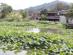 -呈坎景区