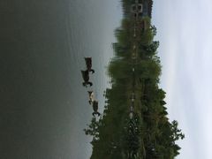 怡沁园度假村-上海怡沁园度假酒店