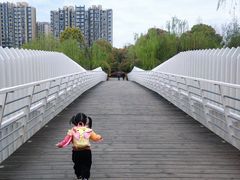 -南翔镇银翔湖公园