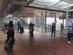 -香港大学