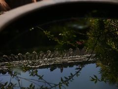 -自贡市盐业历史博物馆