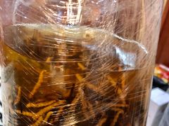 冬虫夏草-江杨农产品批发市场