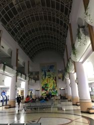 -上海交通大学医学院附属上海儿童医学中心(陆家嘴总院区)