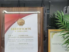 -EFL巴西柔术·综合格斗·泰拳·少儿体能训练(虹桥德必馆)