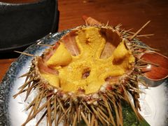 活海胆刺身-千代武日本料理(开发区店)