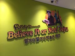 -信不信由你博物馆