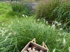 -汉长安城未央宫国家考古遗址公园