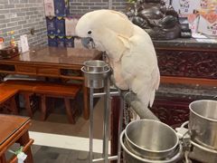 -四海楼(如皋定慧禅寺店)
