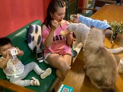 -猫色咖啡·猫咖