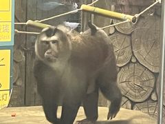 -黔灵山公园