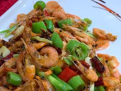 -月见草(金苑华城店)