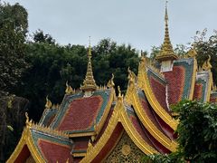 -西双版纳勐泐文化旅游区