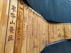 -秦岭终南山世界地质公园翠华山景区
