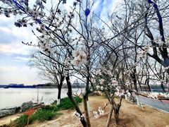 -大兴滨河森林公园