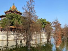-顺峰山公园