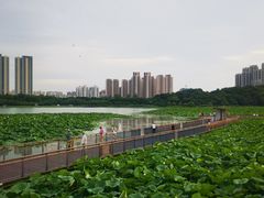 -月湖风景区