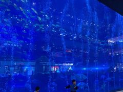 -成都浩海立方海洋公园