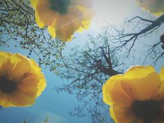 -迎泽公园
