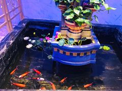 -蟹之国·精品蟹料理(极地店)