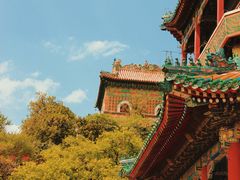 -宫事颐庭·老佛爷贵寿下午茶(颐和园店)