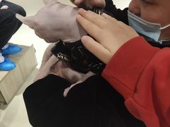 -藏猫猫咖啡主题馆(中央大道店)