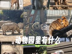 -温州动物园-北门售票处