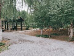 -西青郊野公园