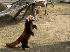 -水上乐园·欢乐世界