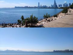 -深圳湾公园(南山区)