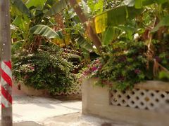 -崖口云吞(中堡店)