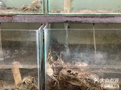 -喜洋洋蟹庄(阳澄湖店)