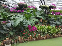 -兰陵国家农业公园