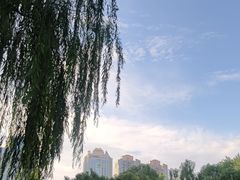 -团结湖公园