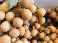 龙眼-水果天空(东葛店)