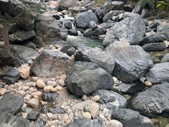 -石台牯牛降景区