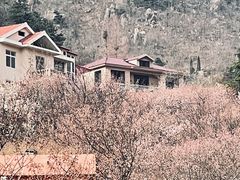 -崂山九水游览区