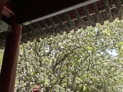 -潭柘寺景区